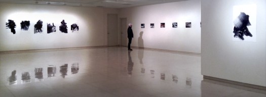 Shadows of the Floating World exhibition installed at EOU 